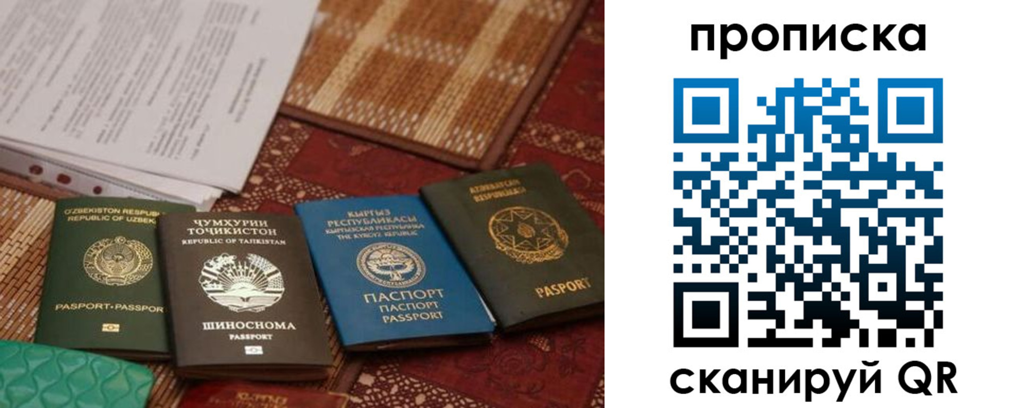 прописка 2025 в Белово